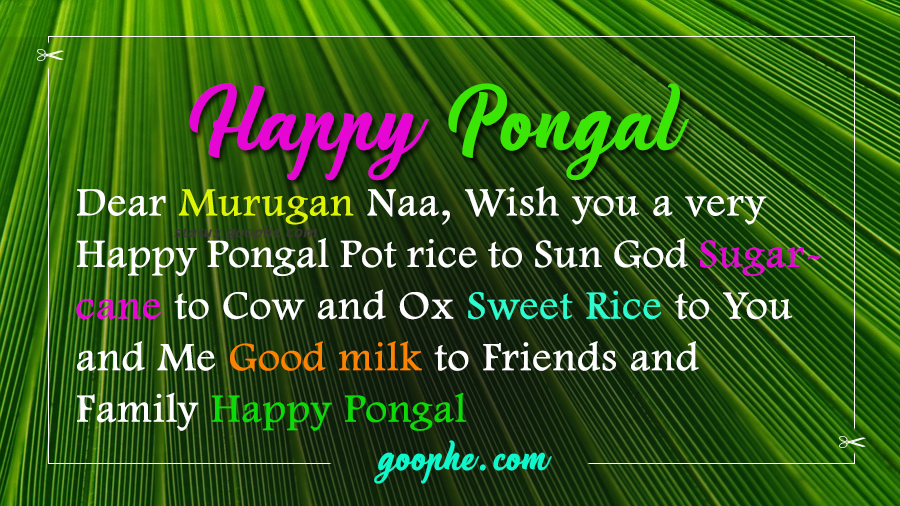 Happy Pongal Whatsapp Status
