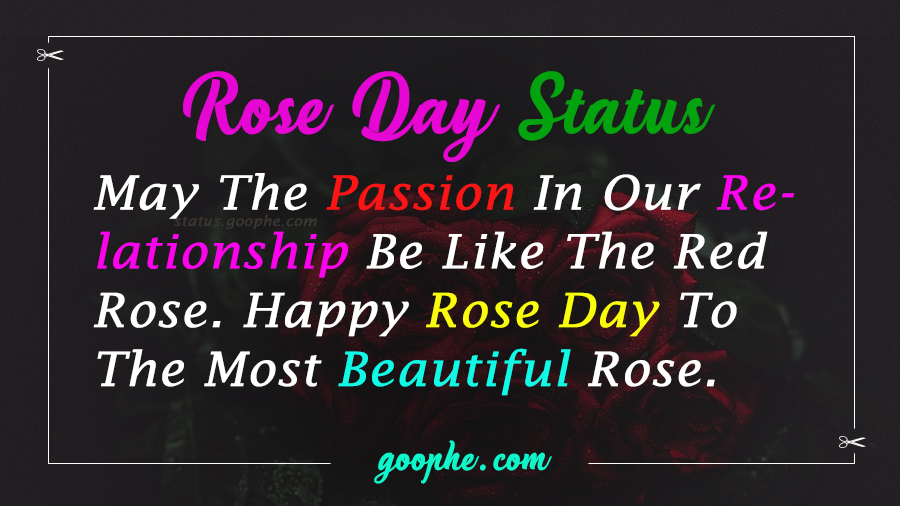 Happy Rose Day Status For Husband