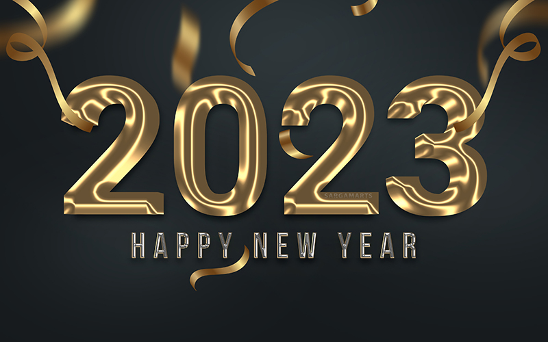 Happy New Year 2024 Wishes In Hindi Shayari